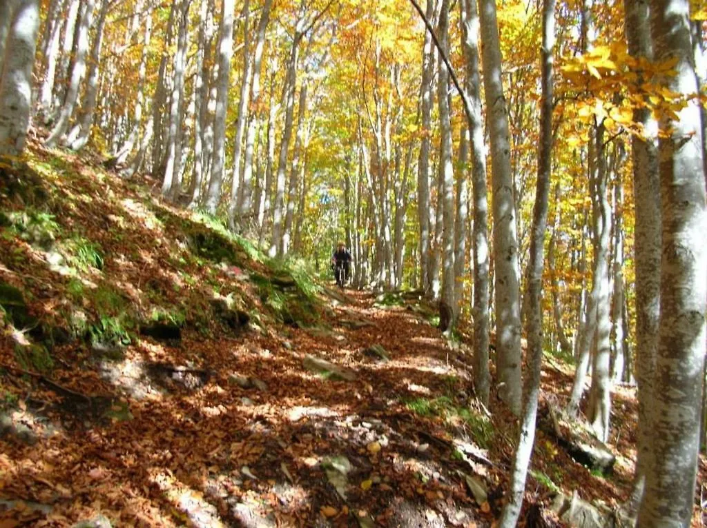 B&B Monte Ventasso Cervarezza 0*,